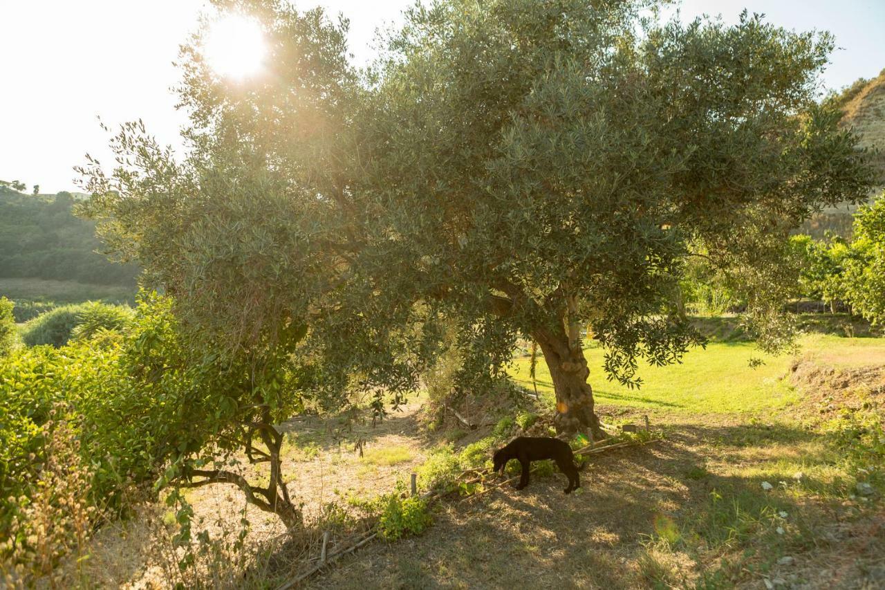 Masseria Sardo Pozzuoli Exterior foto